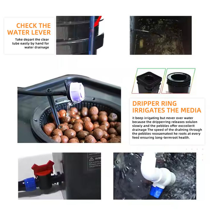 From China Indoor Irrigation Hydroponics Plants Equipment Barley Fodder Tray Deep Water Culture Hydroponics Grow System Quality Manufacturing Innovation