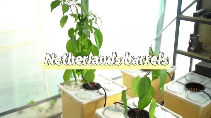 Hot Sale 4 Hole 2 Hole 1 Hole Automatic NFT System Indoor Growing Anti UV Potato Hydroponics Aeroponics Dutch Bucket Custom Manufacturing B2B