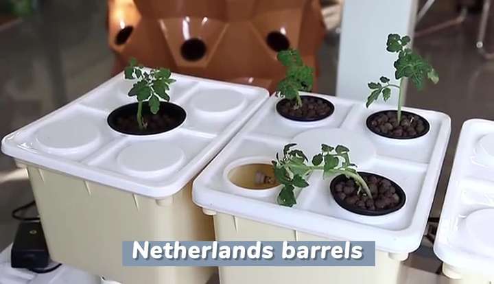 Hydroponic Agricultural Plant Growers Garden Nutrient Solution Dutch Bucket System For Plants Square Pvc Pipe