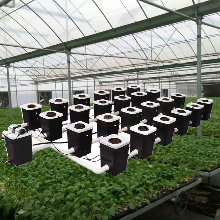 Indoor Hydroponic Bucket System DWC hydroponics growing systems kits  Deep Water Culture 5 Gallon Dutch Bucket Planting System