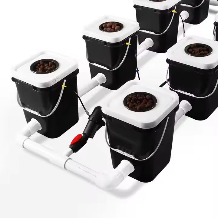 Popular 30 Pcs Single Hole 11 Liter  Dwc Rdwc Deep Water Culture Hydroponic System  Hydroponic Growing System