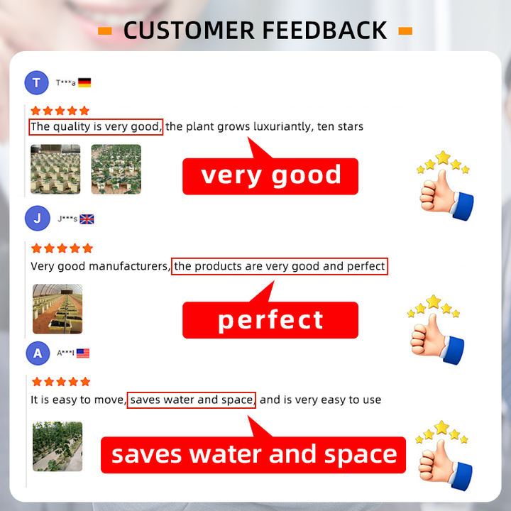 Quick Turnkey Project Agriculture Greenhouse Hydroponic  5 Gallon 20L  Bucket Aeroponic System For  From China Wholesale Factory