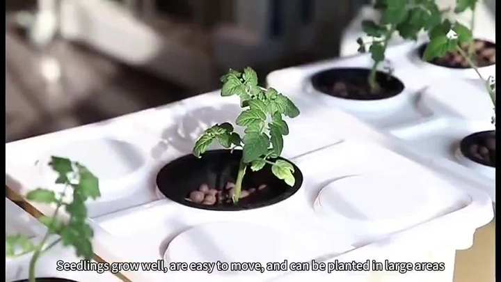 Sale Tomato Plant Pot Automation Nutrient Solution Dwc Dutch Pot Bato Bucket Barrel Dutch Vertical Hydroponics System Mass Wholesale