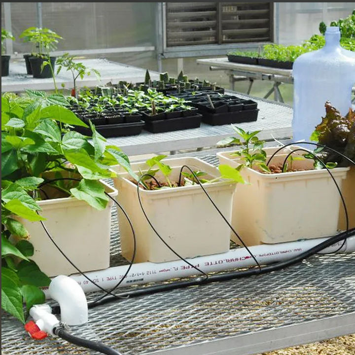 Vertical Square Pvc Pipes Plant Hydroponic Growing System Grow Kit Growing Barrel Tomato Growing Barrelwith Water Pump