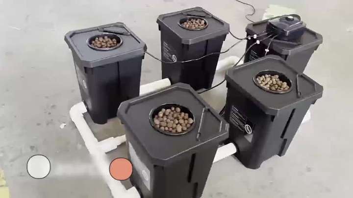 fodder dwc hydroponic system dutch bato bucket planting system pots dutch tomato bucket system for greenhouse