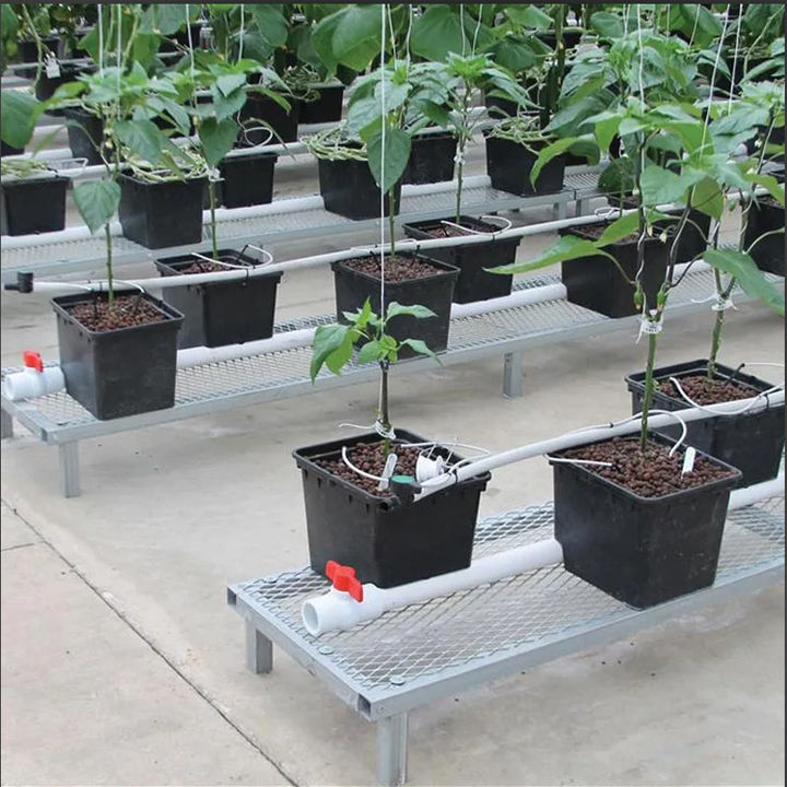 Irrigation hydroponics equipment plastic dutch bucket indoor hydroponic plant pots dutch bucket for hydroponic system from china Factory Direct Sales Chain