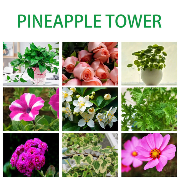 Commercial Hydroponic Tower System Pineapple Automatic Watering Growing Systems Carton Packing Customized White Provided GN 19