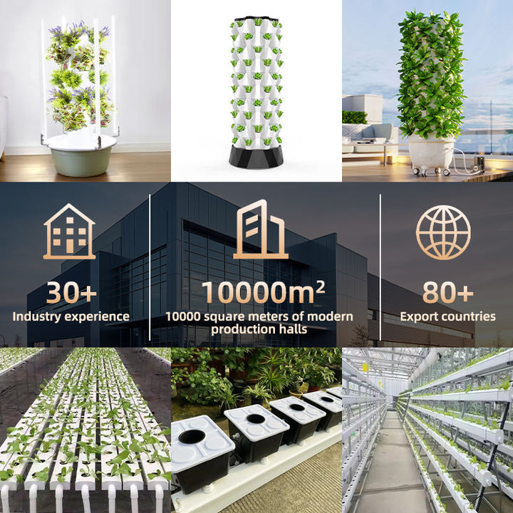 Farm Equipment Tower Garden Hydroponic System Growing Pineapple Towers Garden Vertical Farming System hydroponic tower