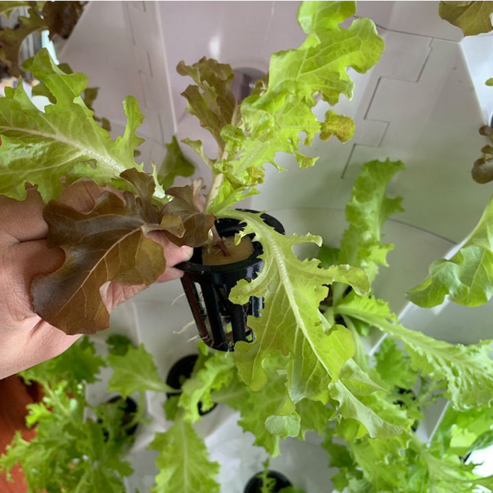 New Agricultural Greenhouse Indoor Pineapple Aeroponic Hydroponic Tower Garden Vertical Hydroponic System Rapid Production Solutions Wholesale