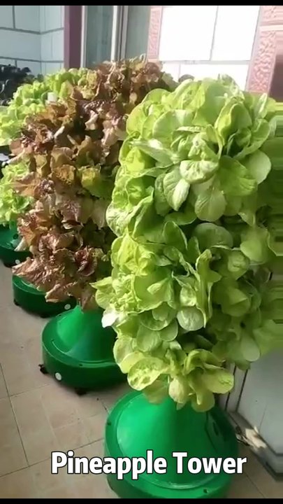 New Agricultural Greenhouse Indoor Plant Water Cycle Garden Growing Systems Vertical Hydroponic Pineapple Aeroponic Tower