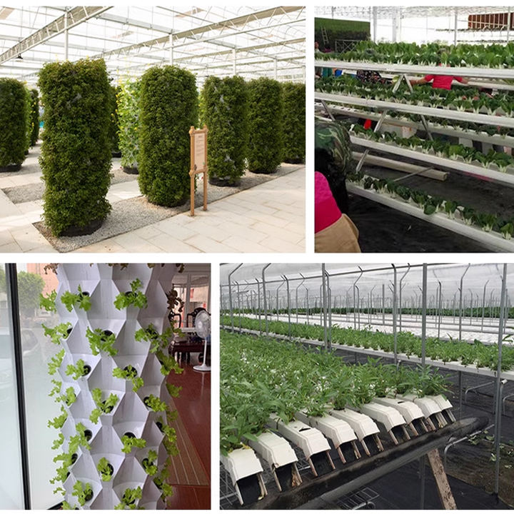 New Design Pineapple Home Greenhouse Plated Growing Tower Hydroponic Vertical Garden Systems With Led Light Manufacturing Services Solutions