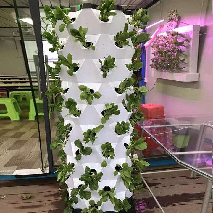 Vertical Farm Lettuc Blueberry Strawberry Flower fodder system hydroponic Tower Aeroponic / Hydroponic Tower Growing Systems