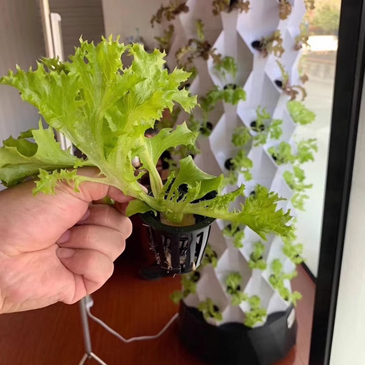 Vertical Hydroponic Pineapple Aeroponic TowerFarming Smart Hydroponics Vertical Garden Grow Kit Pineapple Tower Outdoor Discounted Bulk Pricing