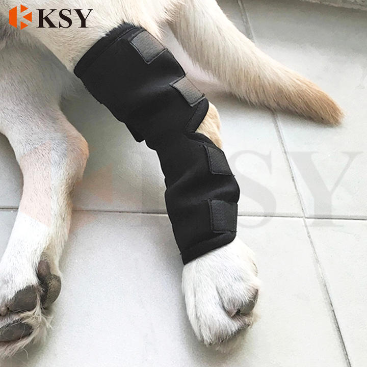 Breathable Dog Knee Support Brace Knee Pads For Hock Joint Wrap Injury Recover Legs Dog Wholesale Trade Supplier Innovation