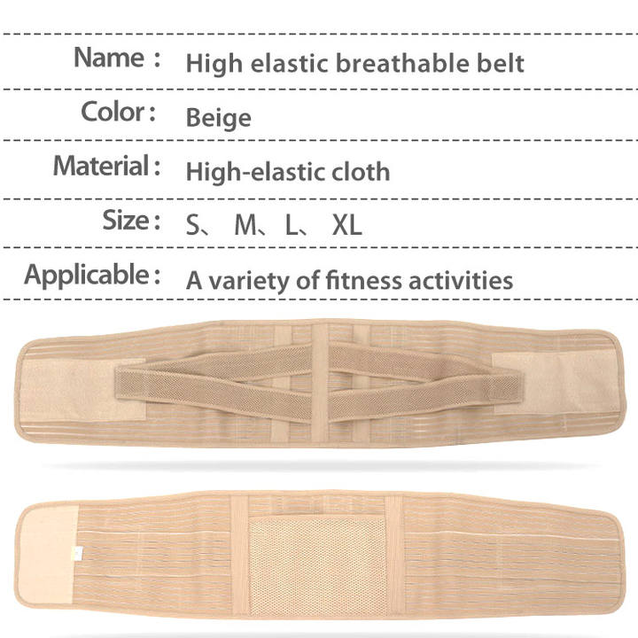 Breathable Mesh Lower Back Waist Support Brace Lumbar Waist Support Belt for Relieving Low Back Pain Quality Manufacturing