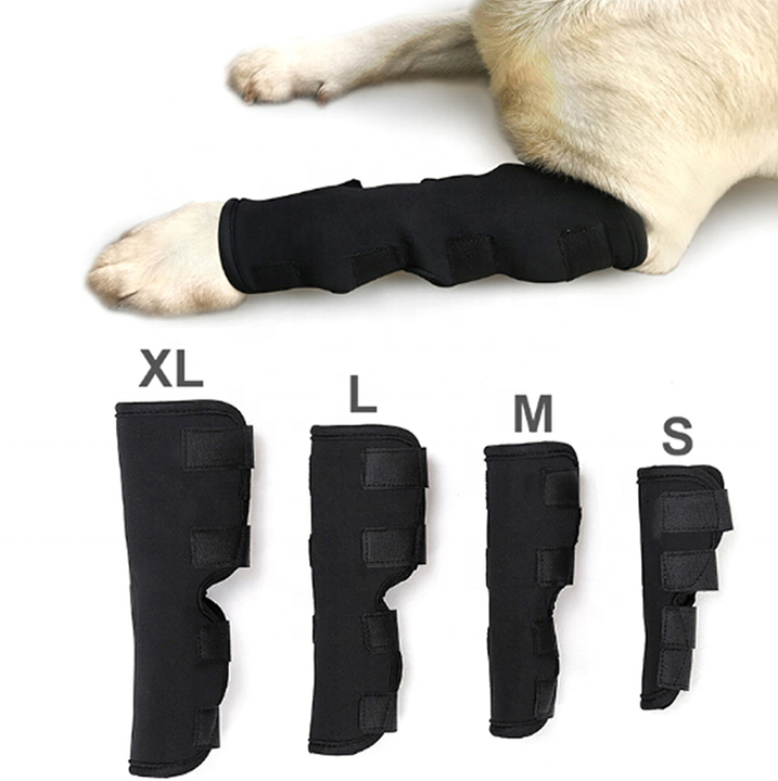Dog knee support Comfortable hock knee brace for dog leg with factory price Manufacturing Firm Solutions