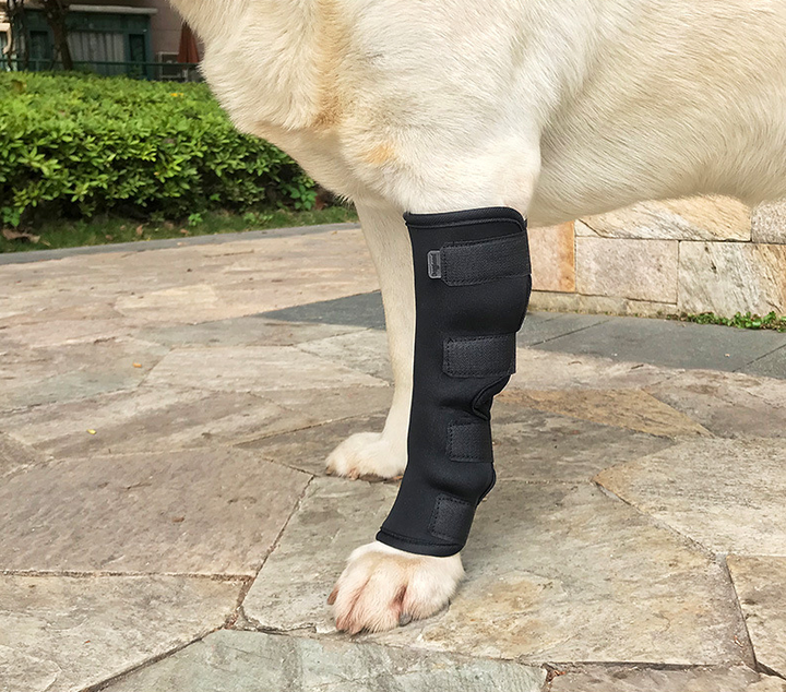 Dog knee support Comfortable hock knee brace for dog leg with factory price Manufacturing Firm Solutions