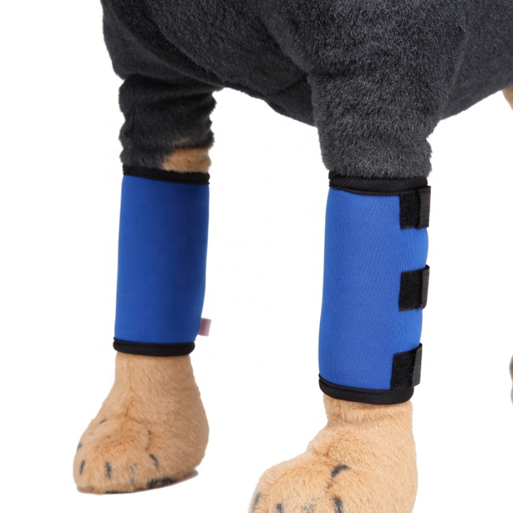 KSY Hot Selling Recovery protector sleeve Dog Knee Brace Neoprene Dog Leg Brace for hind legs China Factory Supply Trade