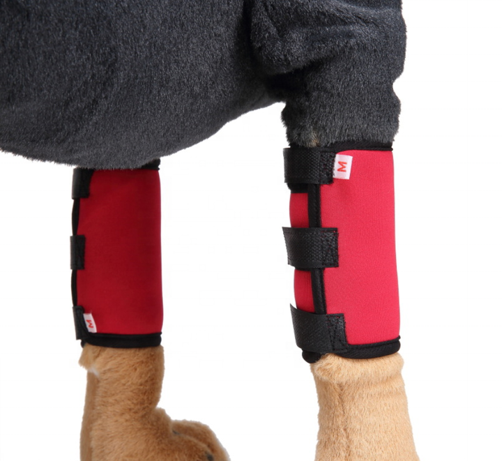 KSY Hot Selling Recovery protector sleeve Dog Knee Brace Neoprene Dog Leg Brace for hind legs China Factory Supply Trade