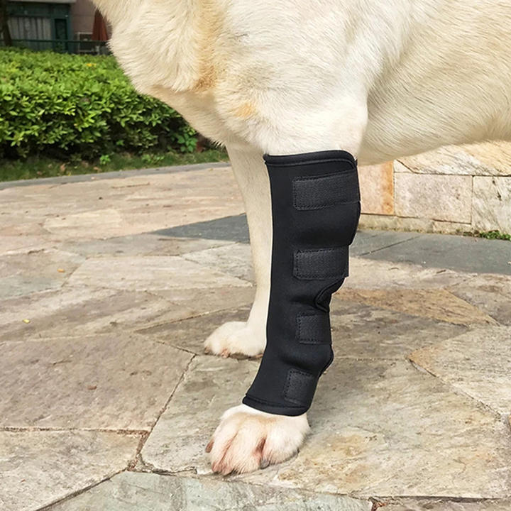 Pet Dog Knee and Leg Joint Surgery Injury Protective Cover Elbow Protector Import Wholesale Solutions