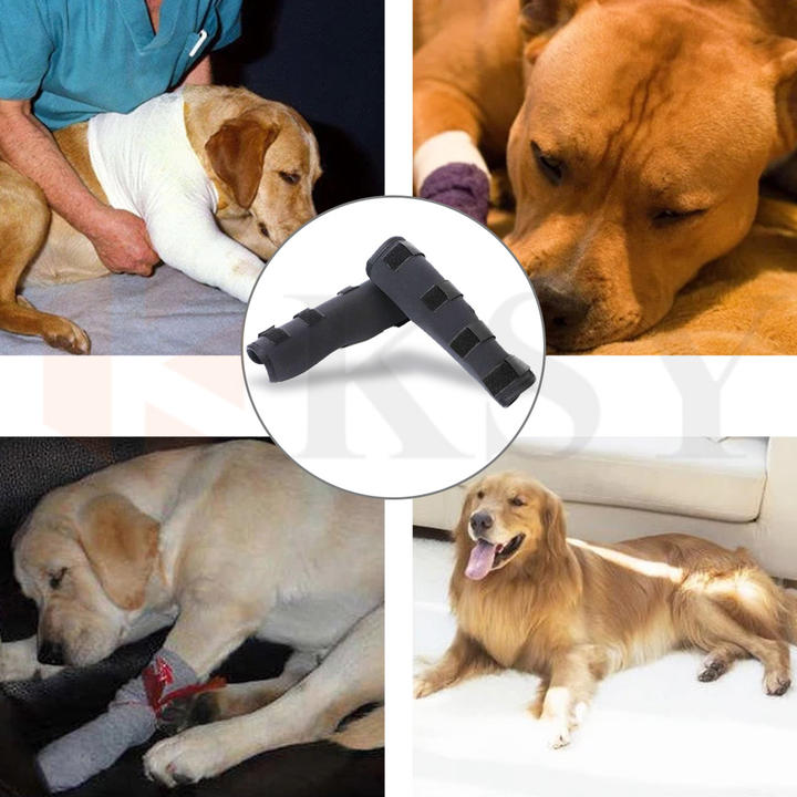 Pet Dog Knee and Leg Joint Surgery Injury Protective Cover Elbow Protector Import Wholesale Solutions