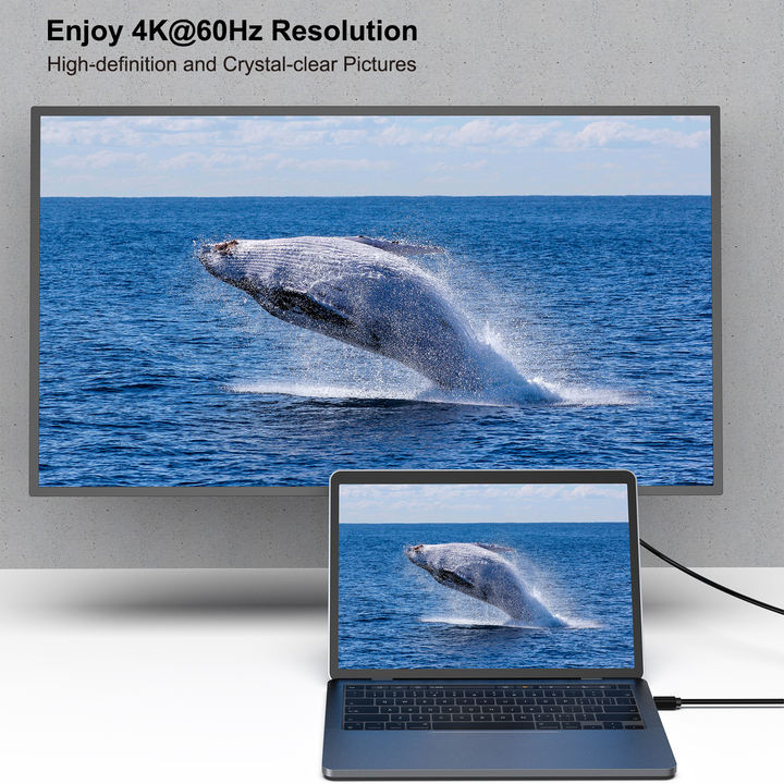 Mini DisplayPort to DisplayPort Cable, BENFEI Mini DP(Thunderbolt Compatible) to DP 4.5M Cable (Male to Male)  4K@60Hz, 2K@144Hz Import Wholesale Solutions