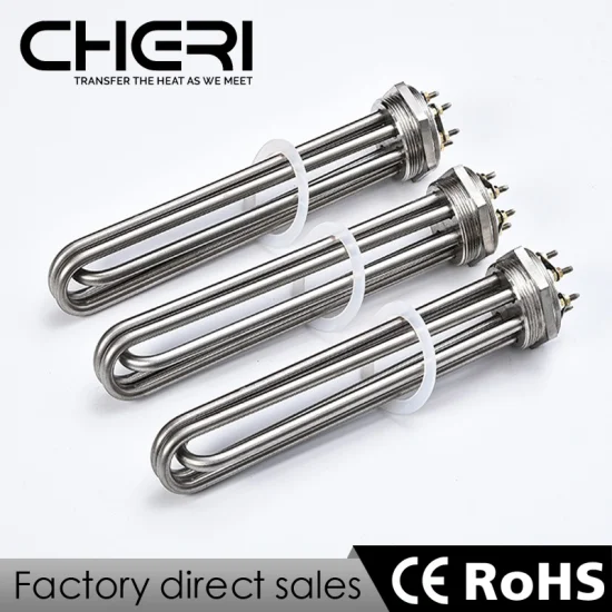 220V DC Stainless Steel Immersion Electric Industrial 3000W Water Heater Heating Element