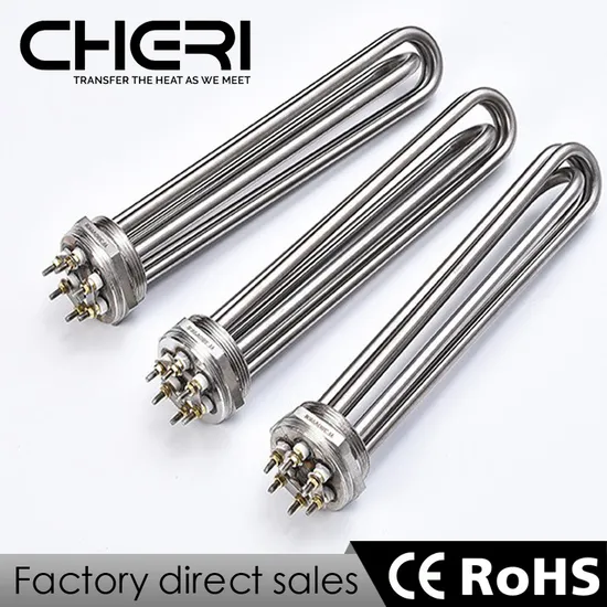 220V DC Stainless Steel Immersion Electric Industrial 3000W Water Heater Heating Element