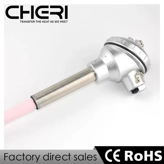 Cheri Assembly Thermocouple with Flange Which Makes Easier The Replacement of The Element Without The Need of Process Stops