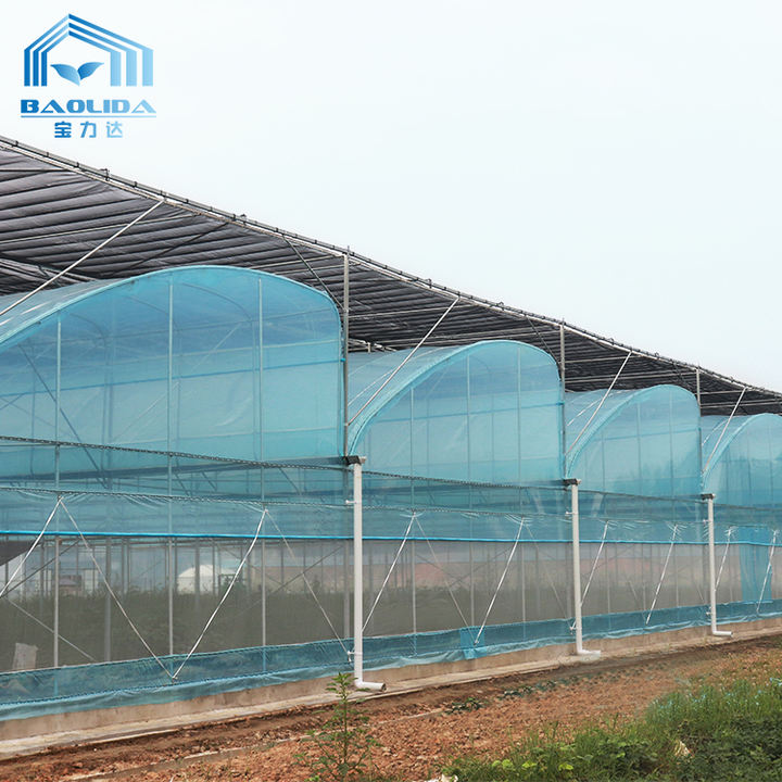Top ventilation high tunnel large plant house tropical commercial greenhouse for sales Manufacturing & Supply Network