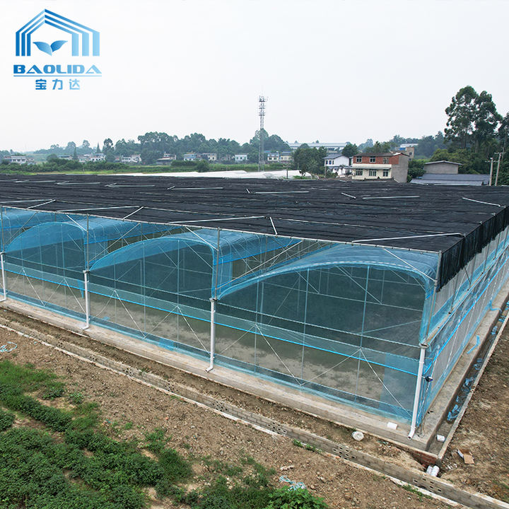 Top ventilation high tunnel large plant house tropical commercial greenhouse for sales Manufacturing & Supply Network