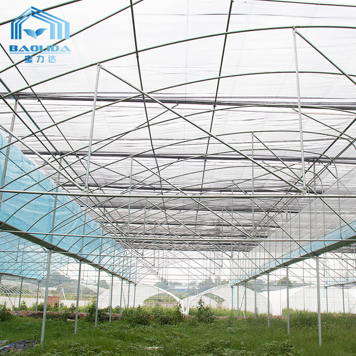 Top ventilation high tunnel large plant house tropical commercial greenhouse for sales Manufacturing & Supply Network