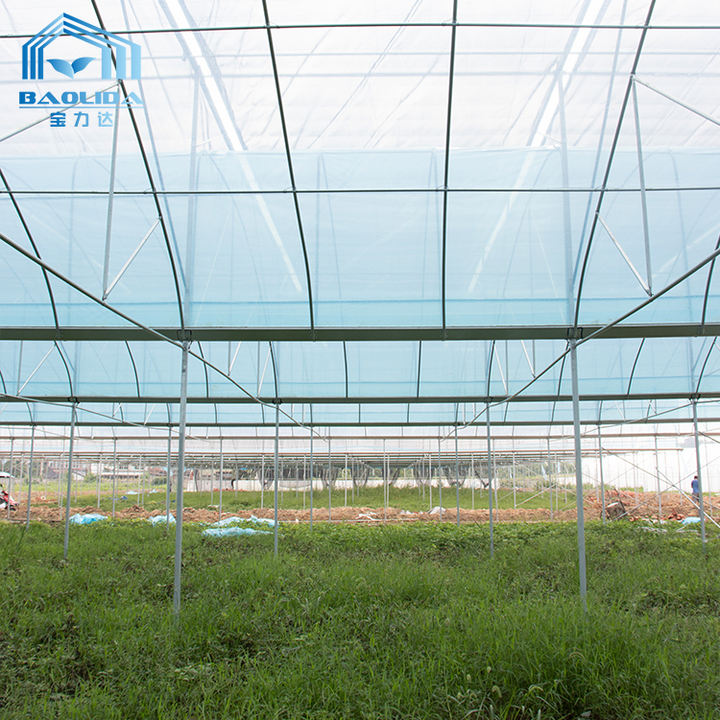 Top ventilation high tunnel large plant house tropical commercial greenhouse for sales Manufacturing & Supply Network