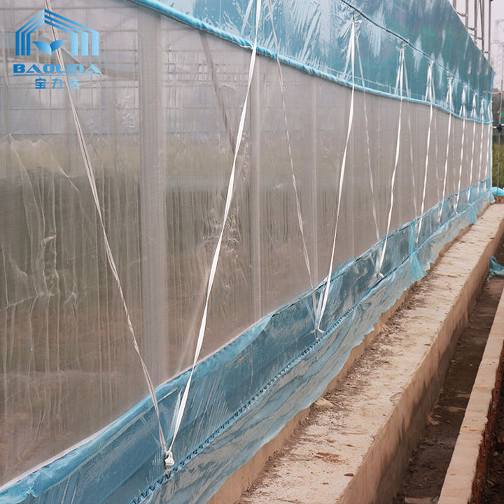 Top ventilation high tunnel large plant house tropical commercial greenhouse for sales Manufacturing & Supply Network