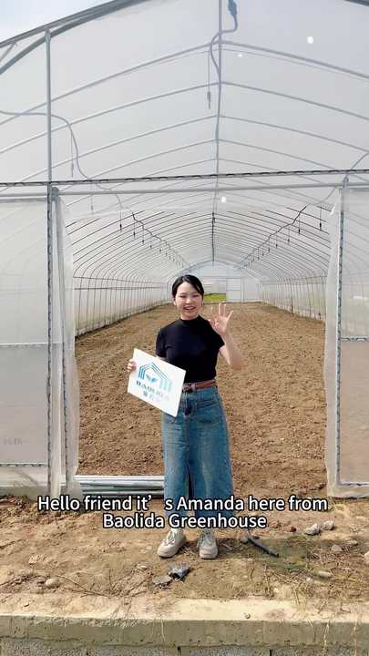 Low price serre agricole green house invernadero grow tent greenhouse kit Affordable Factory Pricing