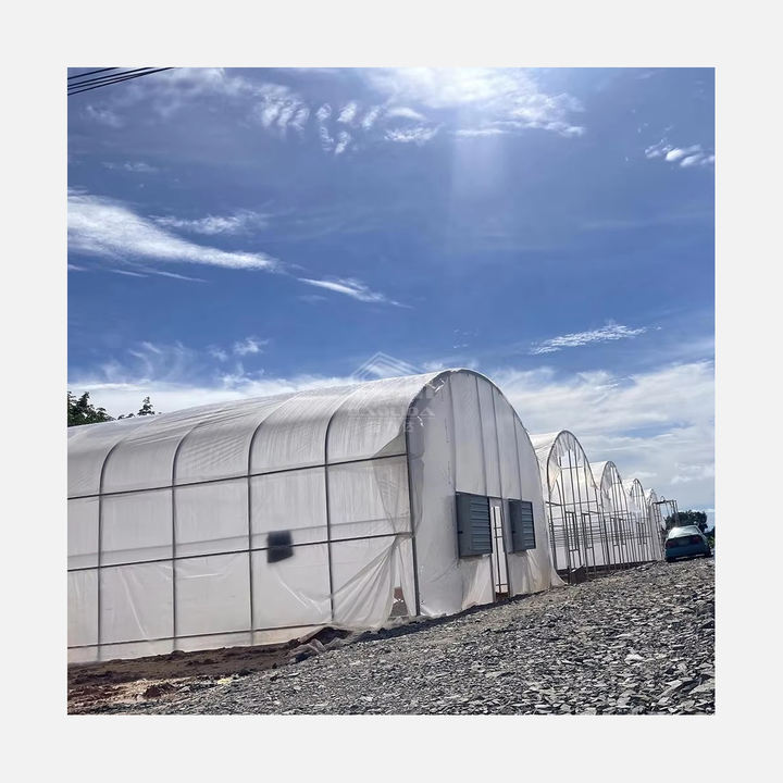 Low price serre agricole green house invernadero grow tent greenhouse kit Affordable Factory Pricing