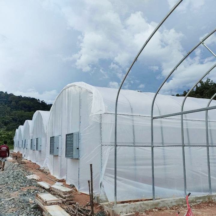 Low price serre agricole green house invernadero grow tent greenhouse kit Affordable Factory Pricing