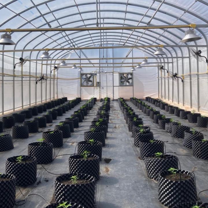 Low price serre agricole green house invernadero grow tent greenhouse kit Affordable Factory Pricing