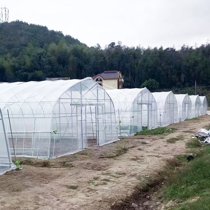 Low price serre agricole green house invernadero grow tent greenhouse kit Affordable Factory Pricing