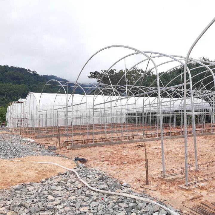 Low price serre agricole green house invernadero grow tent greenhouse kit Affordable Factory Pricing