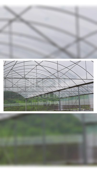 large multi-span plastic greenhouse flim tunnel horticultural green house for farming plants