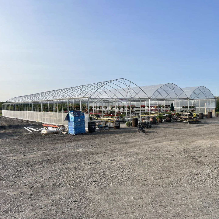 Large multi-span plastic greenhouse flim tunnel horticultural green house for farming plants Factory Direct Sales