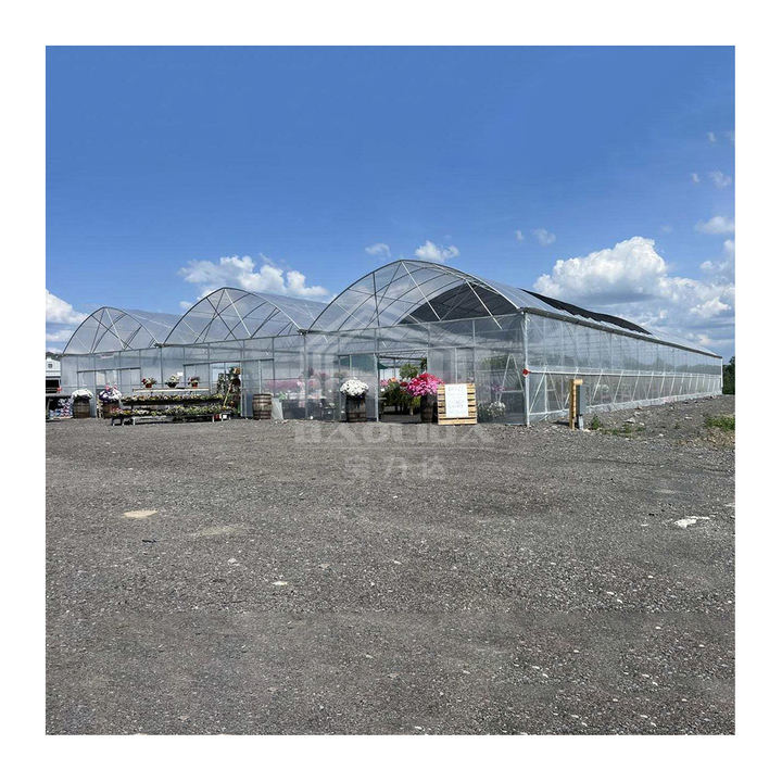 Large multi-span plastic greenhouse flim tunnel horticultural green house for farming plants Factory Direct Sales