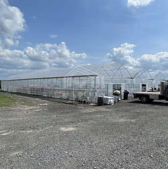 Large multi-span plastic greenhouse flim tunnel horticultural green house for farming plants Factory Direct Sales