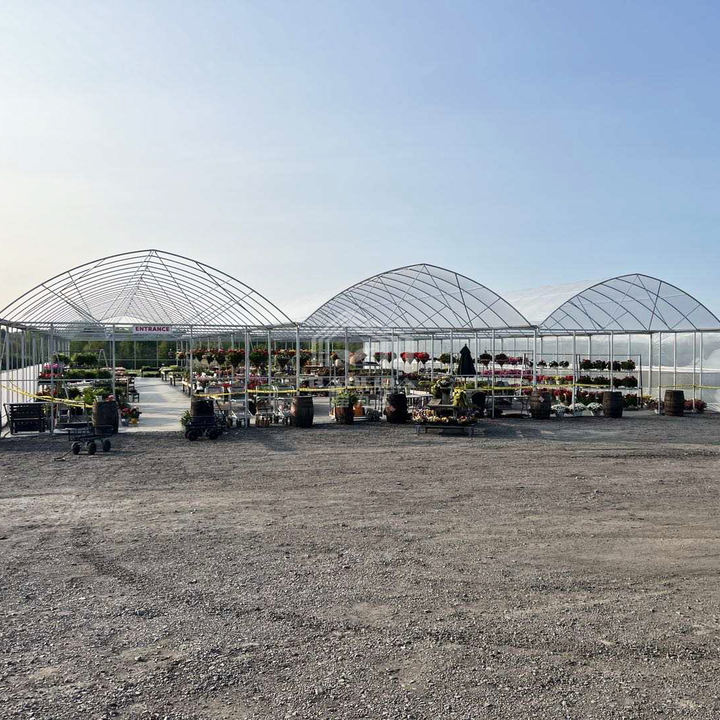 Large multi-span plastic greenhouse flim tunnel horticultural green house for farming plants Factory Direct Sales