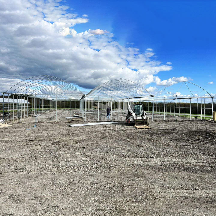 Large multi-span plastic greenhouse flim tunnel horticultural green house for farming plants Factory Direct Sales