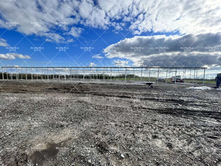 Large multi-span plastic greenhouse flim tunnel horticultural green house for farming plants Factory Direct Sales