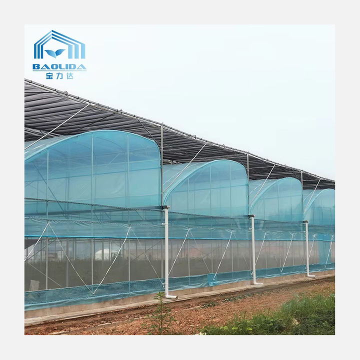 Large area multispan high green house luxury smart agriculture greenhouse for rosse Import Wholesale Solutions