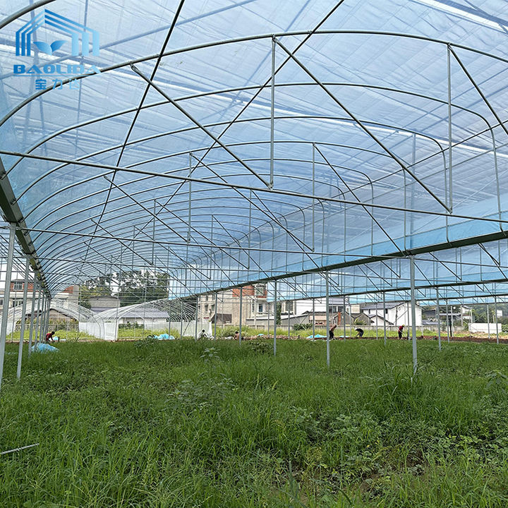 Large area multispan high green house luxury smart agriculture greenhouse for rosse Import Wholesale Solutions