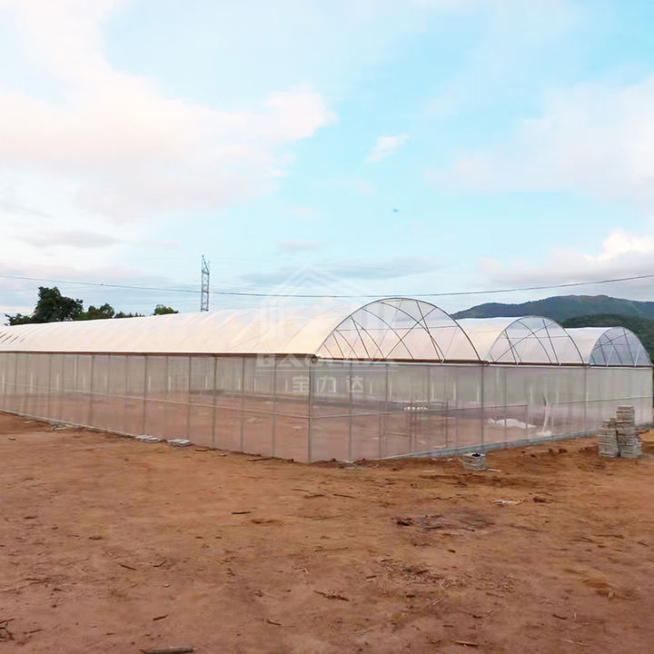 high tunnel greenhouse serre agricole plastic house for agriculture